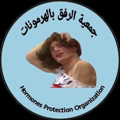 Mozawlat's profile picture