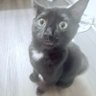 NOOK WORRY's profile picture