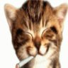 اؤطه's profile picture