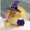 Church of the Holy Duck's profile picture