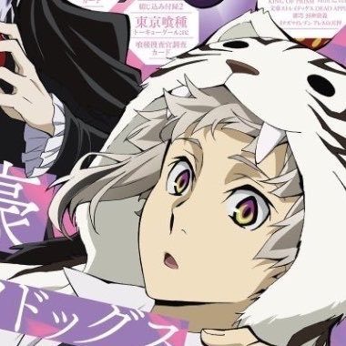 celocic's profile picture