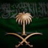 Profilbild von 🇸🇦