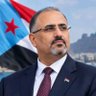 قوة الردع الجنوبية🇦🇪⛔️ 的头像