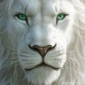 Profilbild von 🇵🇸 🇾🇪Dr.Lion
