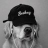 Beekay🧃 的头像