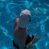 FERNANDO R.'s profile picture