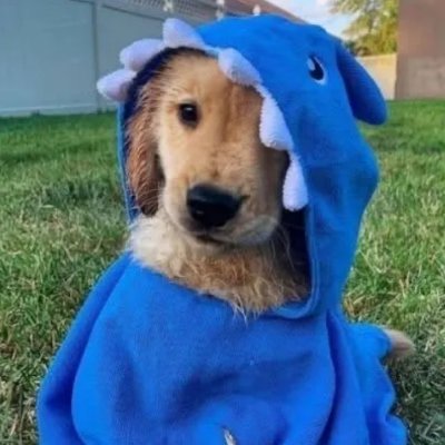 chinofn6's profile picture