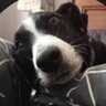 G-man™'s profile picture
