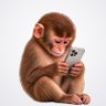 Profilbild von iFone