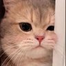 أوجاع.'s profile picture