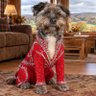 Little_Billy_B❤️🐾🌈's profile picture