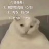九天应元雷声普化哈基米 的头像