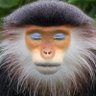 YungBank's profile picture