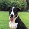 tunico profil fotoğrafı