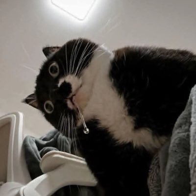 rong173_1999's profile picture