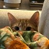 Soozebee215🇺🇸🌻🕊️ profil fotoğrafı