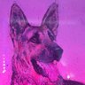 Profilbild von Ray of Friday
