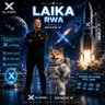 LAIKA~Lucky 的头像