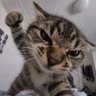 Eddie profil fotoğrafı