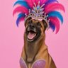 Profilbild von Debbie Staats