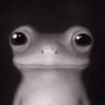 Profilbild von Olight