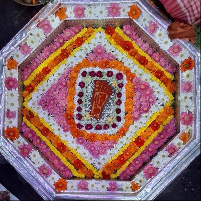DrVNMishraa's profile picture