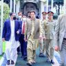 Ture Pakistani 🇵🇰 的头像