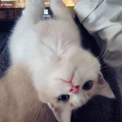 oz2rtb's profile picture