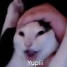 Фото профиля Yupi_🫂