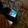 yapper's profile picture