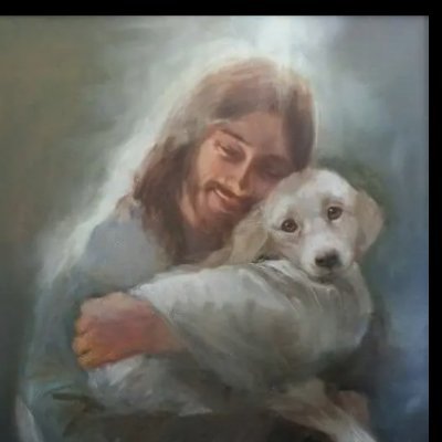 MIS AMIGOS DE 4 PATAS :)'s profile picture