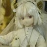 ひがら🕊️狐雀亭's profile picture