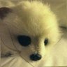 Mr.Tina蕣莠 profil fotoğrafı