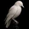 AUGUR NOX's profile picture