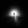 The Wanderer profil fotoğrafı