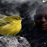 Don Blaze profil fotoğrafı