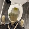 Фото профиля Dum Dum