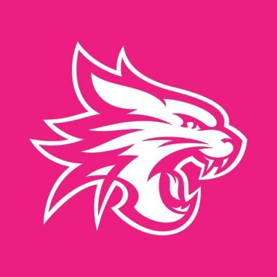 PerthWildcats's profile picture
