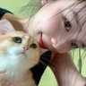 斑马｜MEXC返佣｜70%直开's profile picture