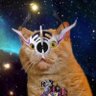 何かに目覚めたエボル's profile picture