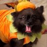 Neta's profile picture