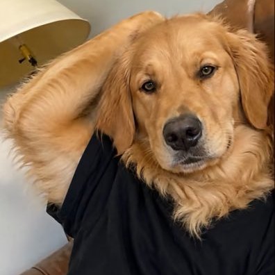 SoleGod333's profile picture