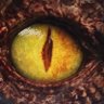 Profilbild von Apex_01