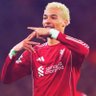 Profilbild von 𝐍’ⵣ🇩🇿
