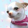 มึงอย่าไปยอมมัน's profile picture
