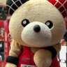 ギュウタン🧸🏯🔥🏀 profil fotoğrafı