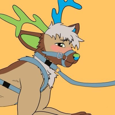 DeerAreBetter's profile picture