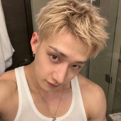 ninii 🦄 viu o skz² e encostou no bangchan's profile picture