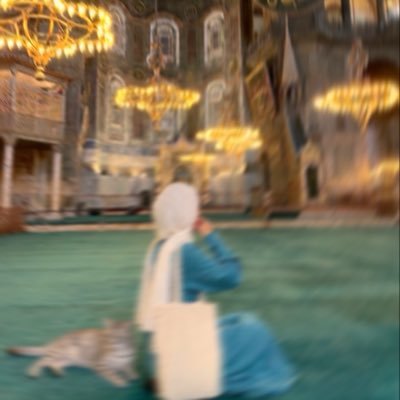 🇵🇸's profile picture