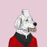 Profilbild von ZรK ๐